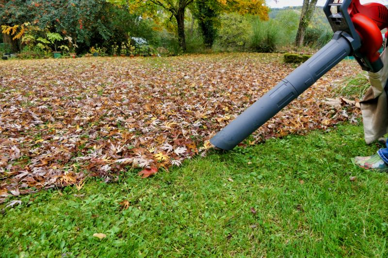 Fall Leaf Cleanup Equipment
