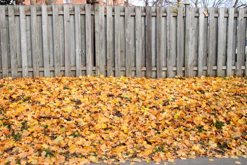 Fall Railroad Ties Border