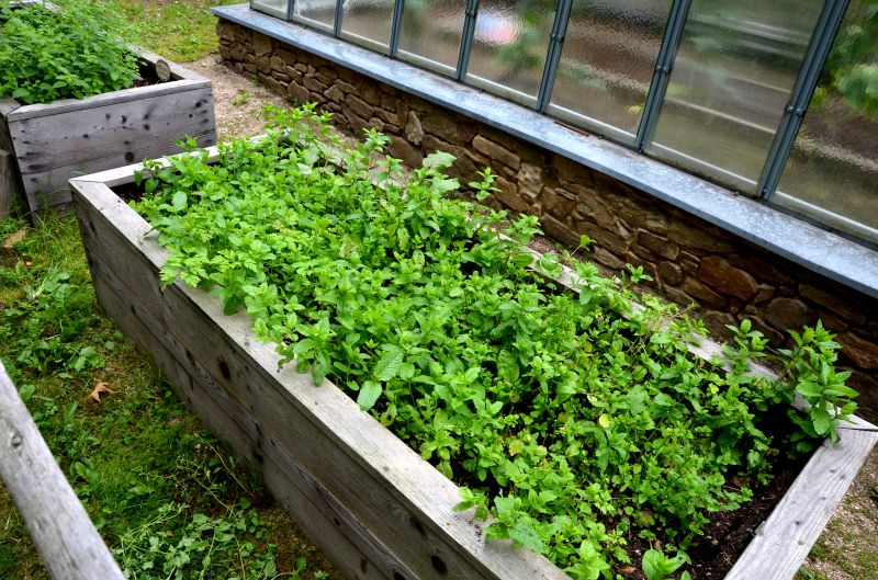 Railroad Ties Landscaping