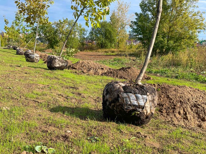 Railroad Ties Landscaping
