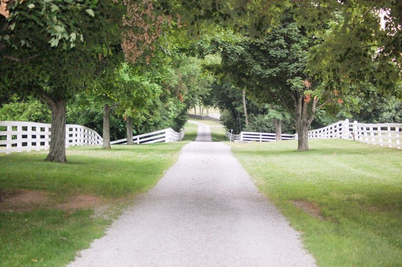 Pathway with Railroad Ties