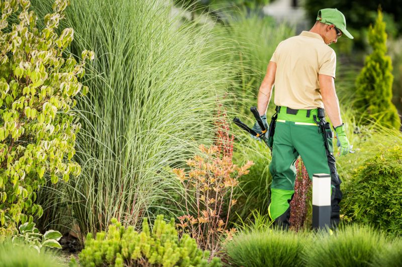 Customized landscaping solutions